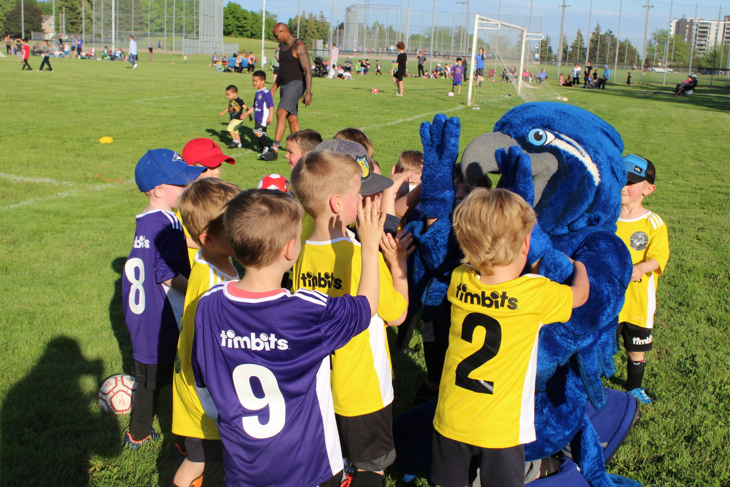 BSC Active Start (U3U6) Field Maps Summer Burlington Soccer